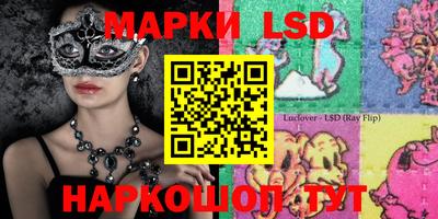 мдпв Гудермес